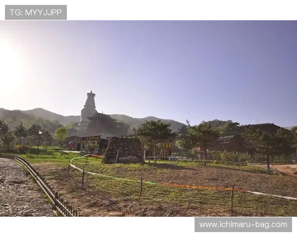 下载大阳城手机版下载平台，享受高清画质和流畅操作带来的极致游戏体验