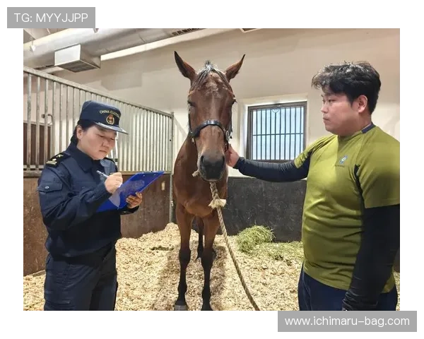 如何快速找到安全可靠的赛马会网址登录线路，避免账号被封风险