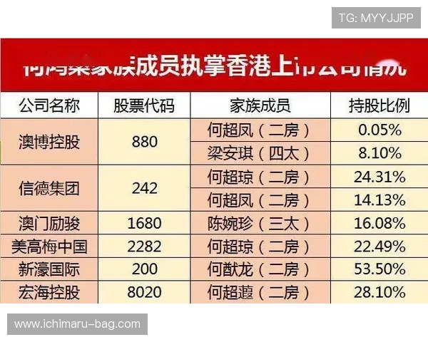 澳门六张赌牌归属情况全面解析，哪些企业或个人拥有核心控制权