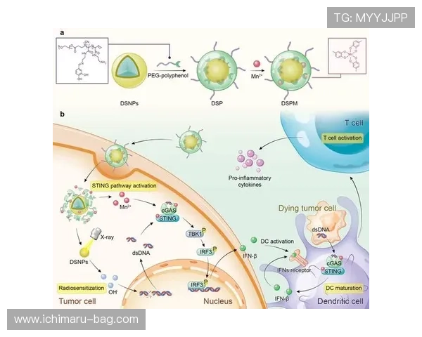 澳门博彩股份有限公司全面解析其发展历程与未来战略布局助力投资者了解澳门博彩股份有限公司的最新动态与行业地位分析澳门博彩股份有限公司在全球博彩行业中的竞争优势与市场份额提升路径探讨澳门博彩股份有限公司的企业文化与社会责任实践对企业可持续发展的积极影响分析澳门博彩股份有限公司在数字化转型中的创新举措与未来发展方向